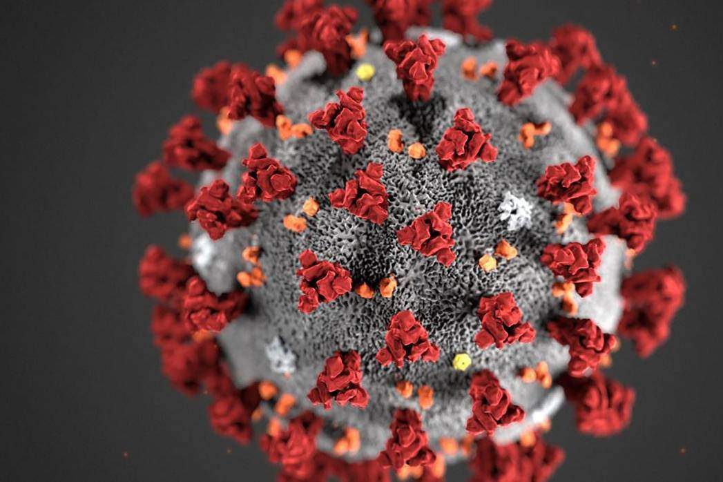 w1240-p16x9-a01f50560e7d3a678158d53af465a3514ce31daf