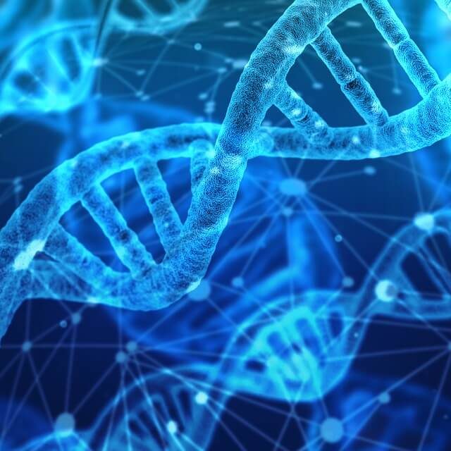 DNA-min
