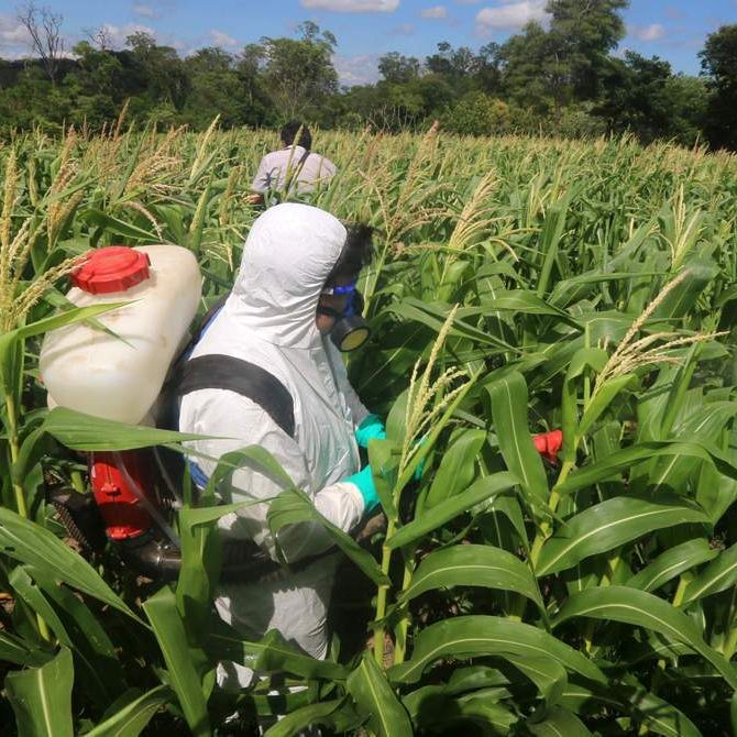 Pesticidas 2-min