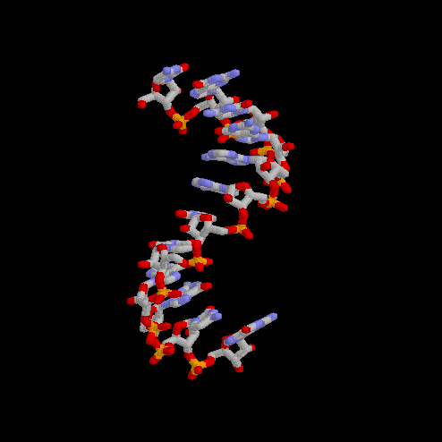 rna 2-min