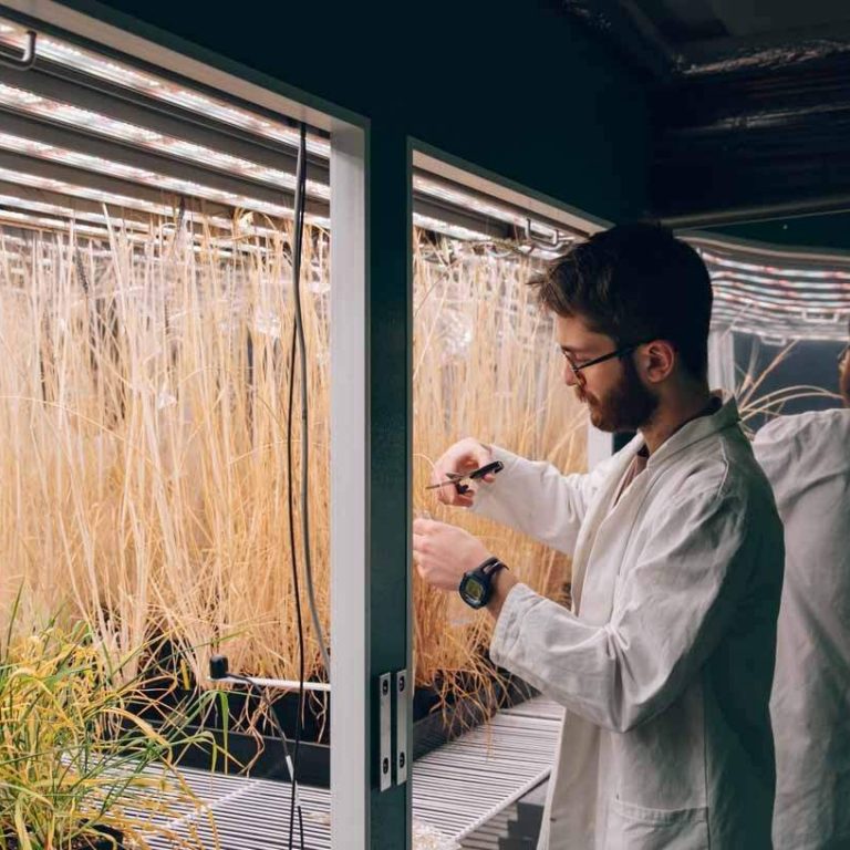 sheffield-university-researcher-plant-growth-room-6-min