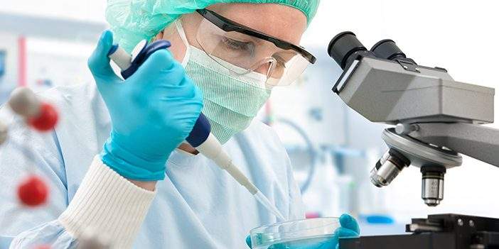 laboratorio2-702x351-min